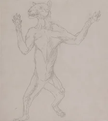 En jämförande anatomisk exponering av människokroppens struktur med en tiger och en ...